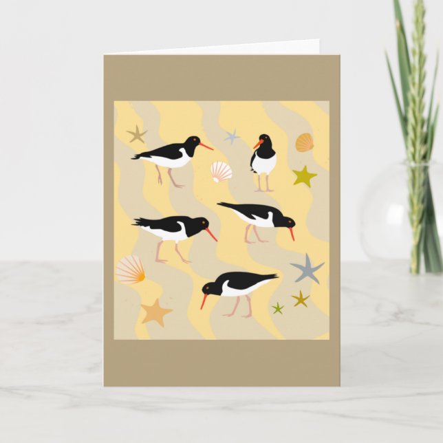 Tarjeta de ave Oyster Catchers (Anverso)