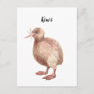 Tarjeta de ave pintada con acuarela Kiwi.