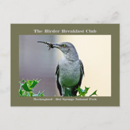 Tarjeta de aves Mockingbird para fotografía de la