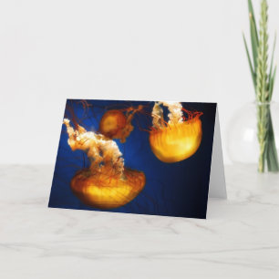 Tarjeta de ballet subacuático