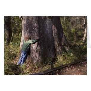 Tarjeta de barrido de árbol