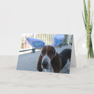 Tarjeta de Basset Hound pascua