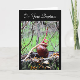 Tarjeta de bautismo para adultos Sprout Living Wor