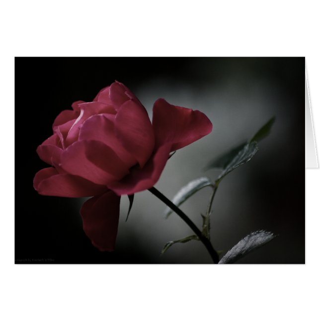 Tarjeta de belleza de amor (Anverso (Horizontal))