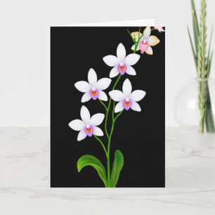 Tarjeta de Belleza Floral Negra