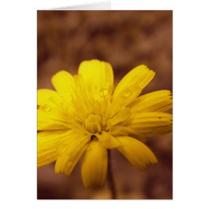 Tarjeta de belleza natural