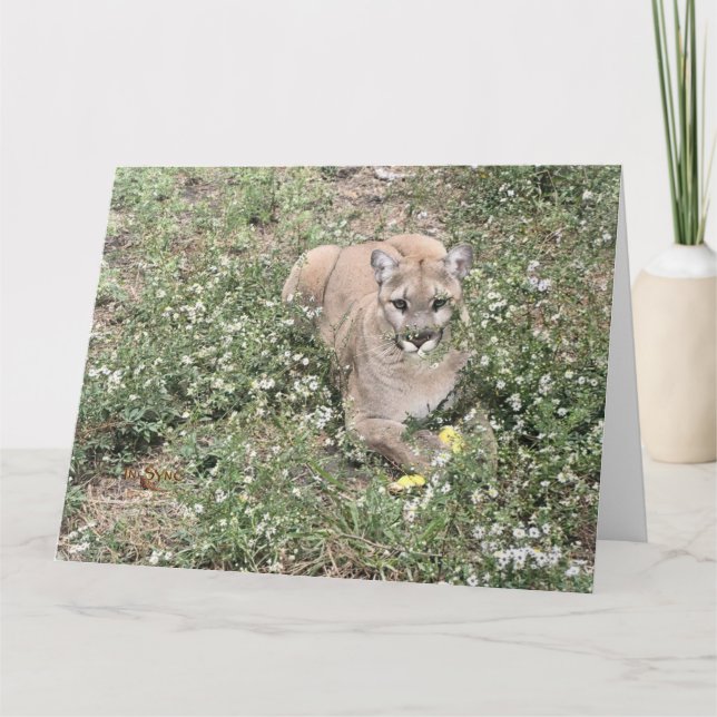 Tarjeta de belleza para el ratón (Anverso)