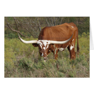 Tarjeta de belleza Red Longhorn