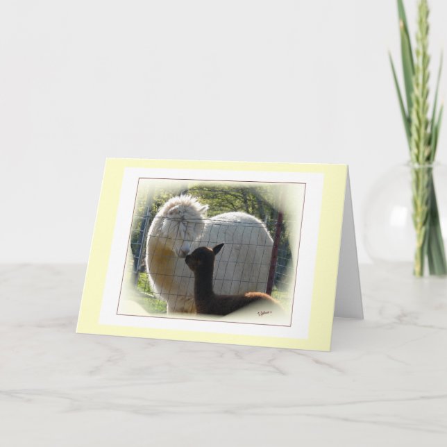 Tarjeta de besos alpaca (Anverso)