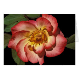 Tarjeta de Betty Boop