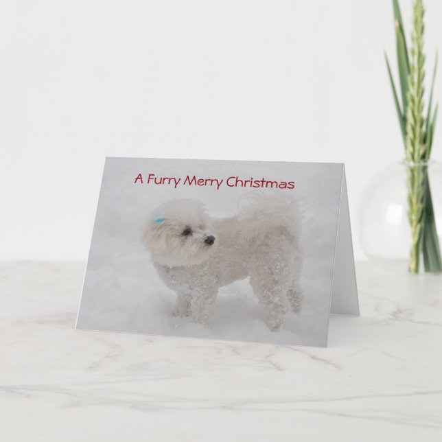 "Tarjeta de Bichon de las Felices Navidad peludas" (Anverso)