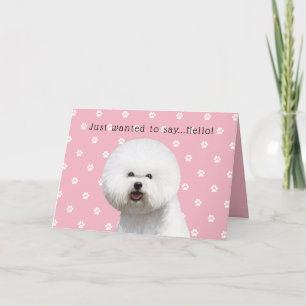 Tarjeta de Bichon Frise