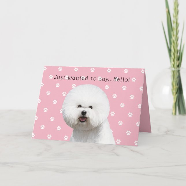 Tarjeta de Bichon Frise (Anverso)
