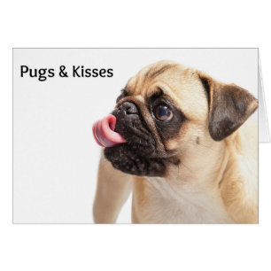 Tarjeta de bichos y besos