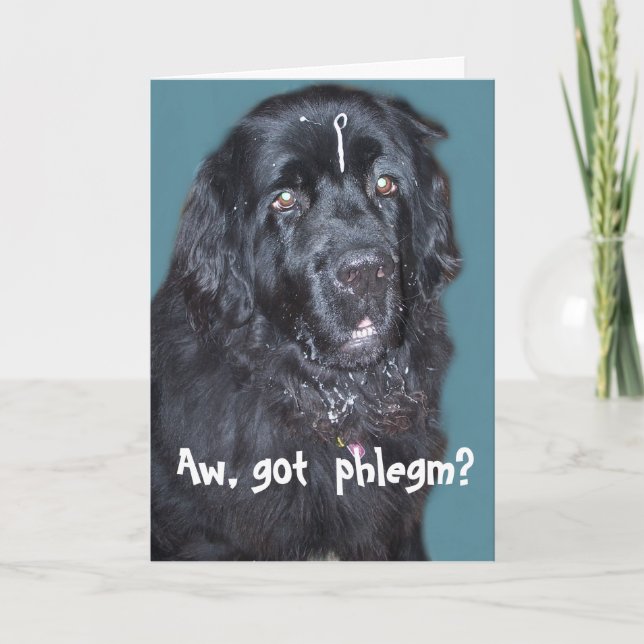 Tarjeta de bienestar para perro de Terranova (Anverso)