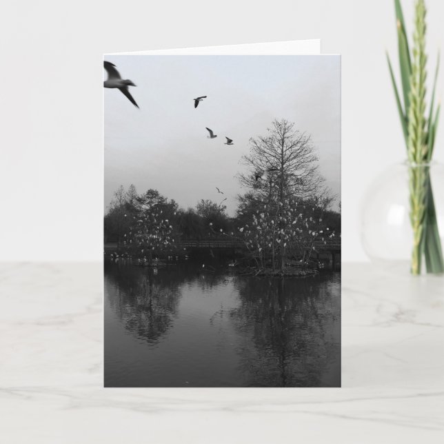 Tarjeta de bienvenida a la naturaleza (Anverso)