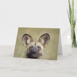 Tarjeta de bienvenida africana para perros salvaje