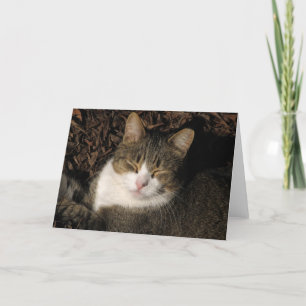 Tarjeta de bienvenida Big Boy Sleeping Blank