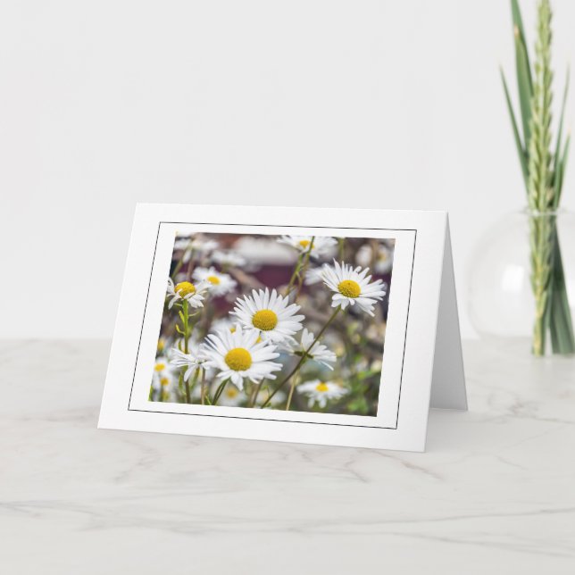 Tarjeta de bienvenida blanca (Anverso)