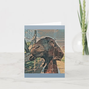 Tarjeta de bienvenida - Blankd