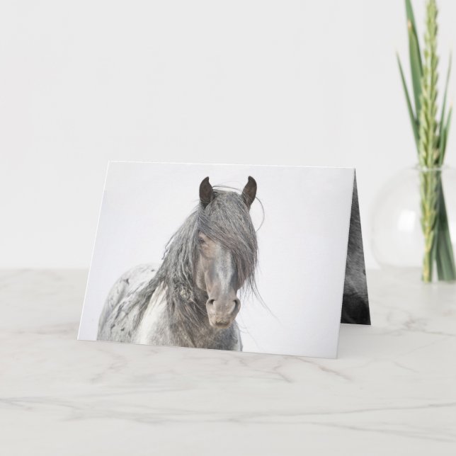 Tarjeta de bienvenida Blue Zeus Portrait Wilse Hor (Anverso)