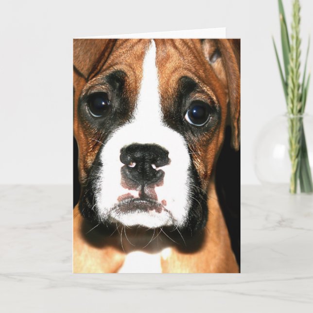 Tarjeta de bienvenida Boxer (Anverso)