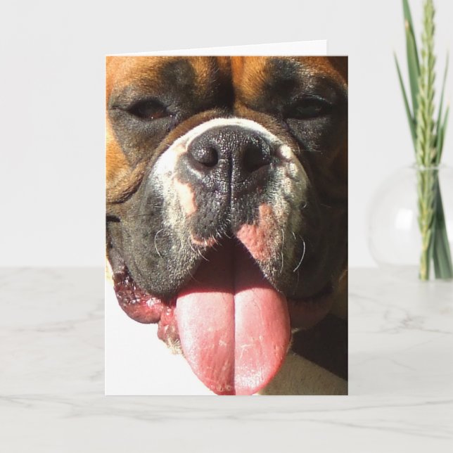 Tarjeta de bienvenida Boxer Face (Anverso)
