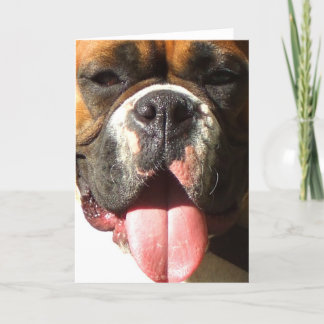 Tarjeta de bienvenida Boxer Face