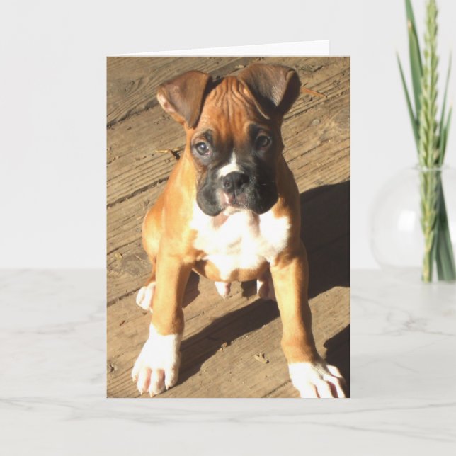 Tarjeta de bienvenida Boxer Puppy (Anverso)