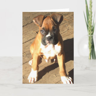 Tarjeta de bienvenida Boxer Puppy