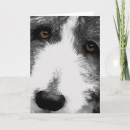 Tarjeta de bienvenida Collie Eyes
