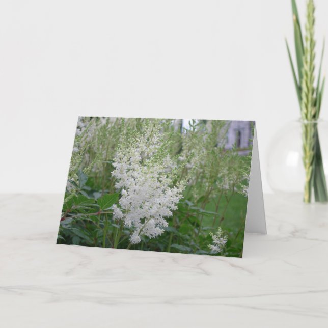 Tarjeta de bienvenida con flores blancas (Anverso)