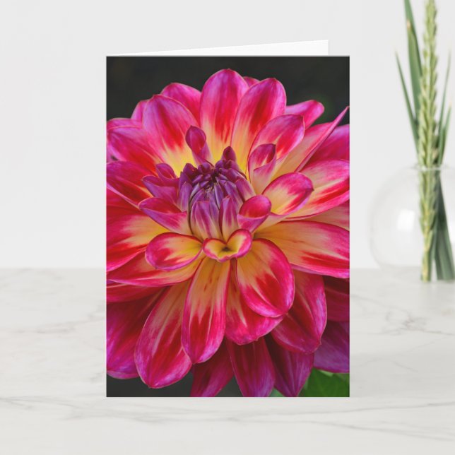 Tarjeta de bienvenida con flores dahlia rosa y ama (Anverso)