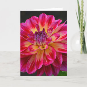Tarjeta de bienvenida con flores dahlia rosa y ama