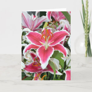 Tarjeta de bienvenida con flores de lirio rosado