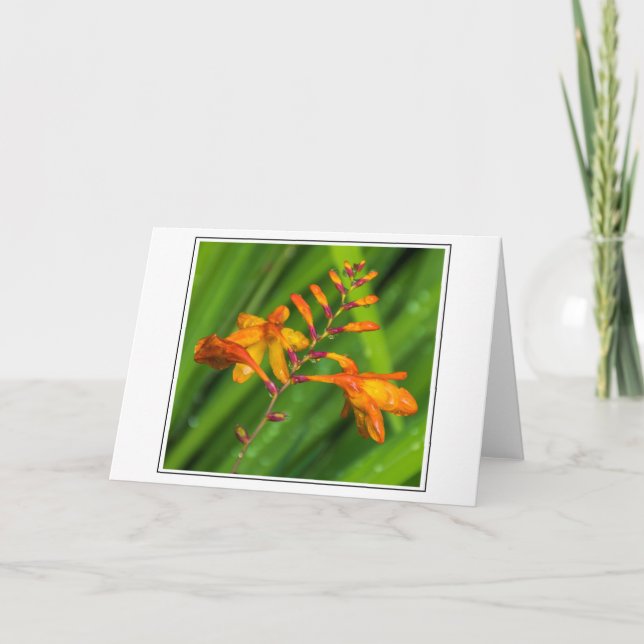 Tarjeta de bienvenida con flores naranja húmedo (Anverso)