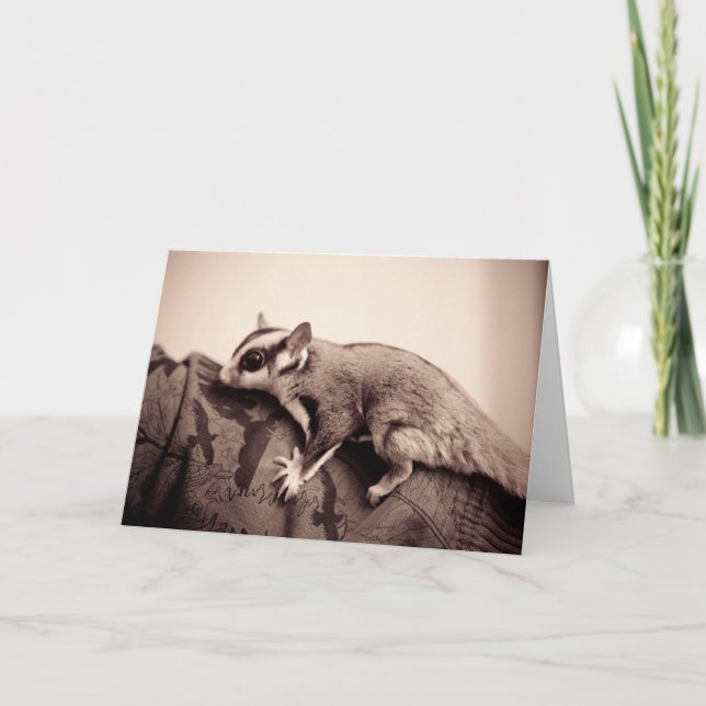 Tarjeta de bienvenida de azucar Glider (Anverso)