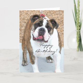 Tarjeta de bienvenida de Bulldog inglés de cumplea