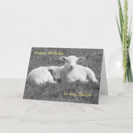 Tarjeta de bienvenida de cordero de primavera