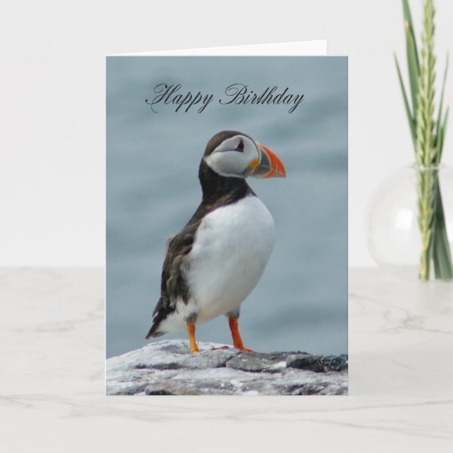 Tarjeta de bienvenida de cumpleaños Puffin (Anverso)
