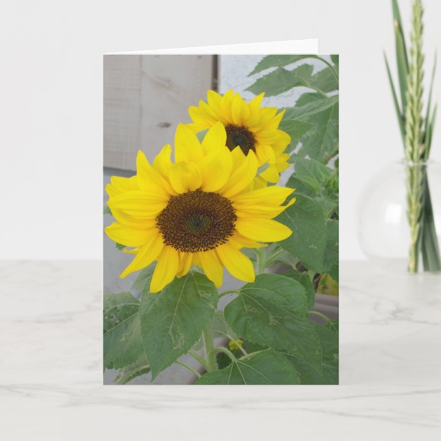 Tarjeta de bienvenida de dos girasoles (Anverso)