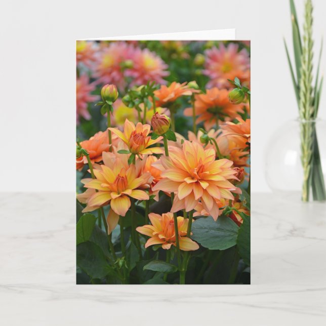 tarjeta de bienvenida de flores dahlia naranja (Anverso)