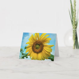 Tarjeta de bienvenida de girasol en blanco