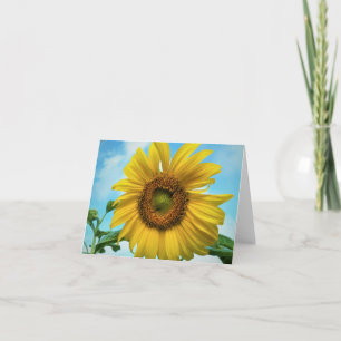 Tarjeta de bienvenida de girasol en blanco