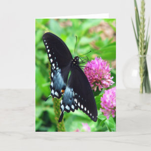 Tarjeta de bienvenida de mariposa de belleza negra