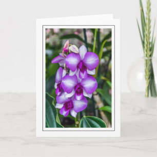 Tarjeta de bienvenida de orquídeas blancas y viole