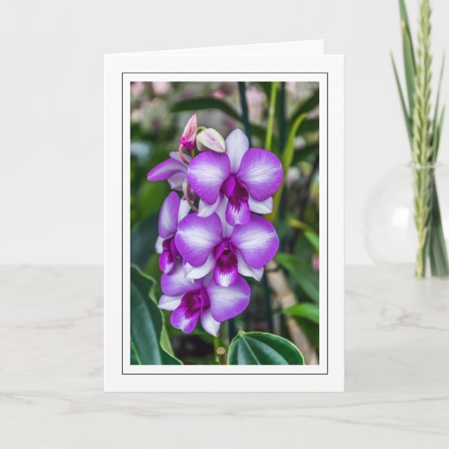 Tarjeta de bienvenida de orquídeas blancas y viole (Anverso)