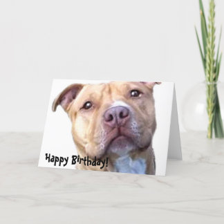 Tarjeta de bienvenida feliz cumpleaños Pitbull