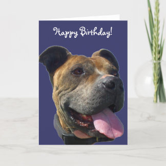 Tarjeta de bienvenida feliz cumpleaños Pitbull