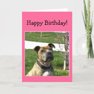 Tarjeta de bienvenida feliz cumpleaños Pitbull